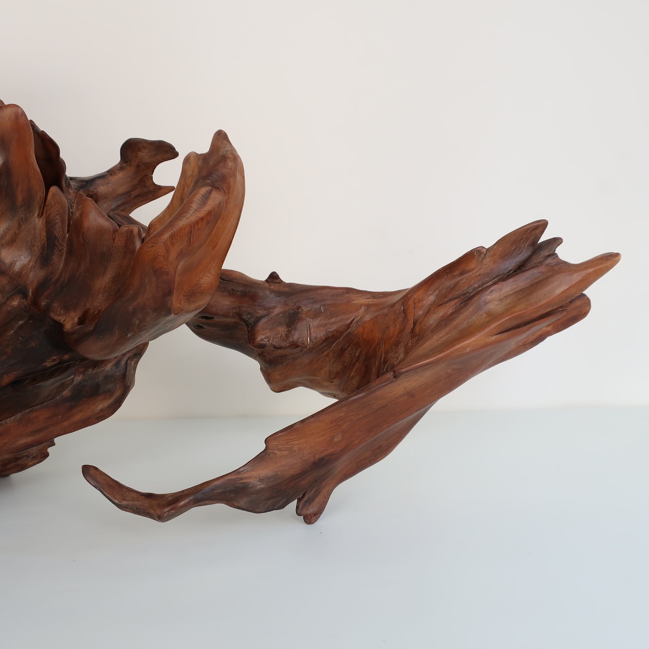 Don B. Signed Sculptural Driftwood