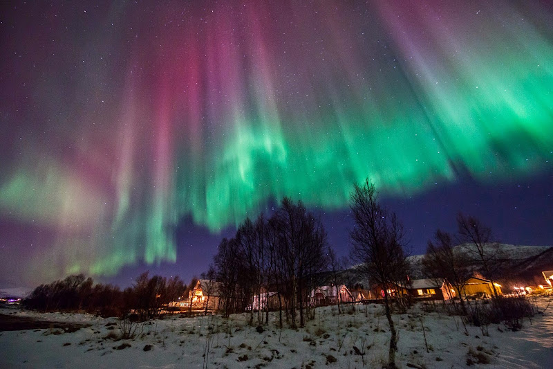  Beautiful Winter Auroras from Hognfjorden, Vesterålen, Norway