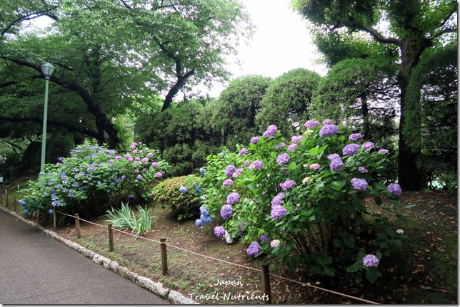 橫濱山手西洋館 (19)