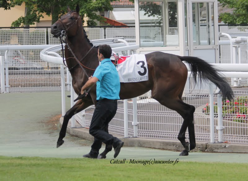 Photos Maisons-Laffitte 5-07-2015 IMG_2436