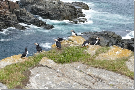 nl_bonavista_elliston_d1_21