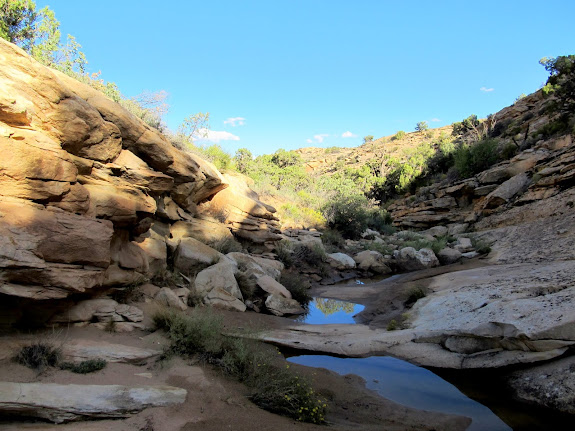 Water in the canyon