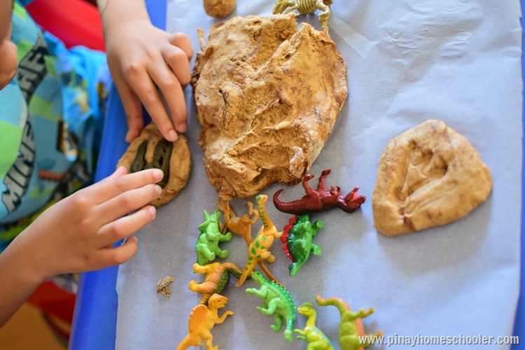 Hands-on Learning on the Types of Fossils