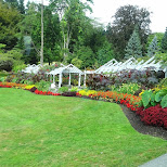 stanley park in Vancouver, British Columbia, Canada