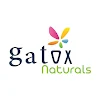 Gatox Natural Ice Cream, Sagar Nagar, Visakhapatnam logo