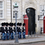 changing of the guards at amalienborg castle in Copenhagen, Denmark 