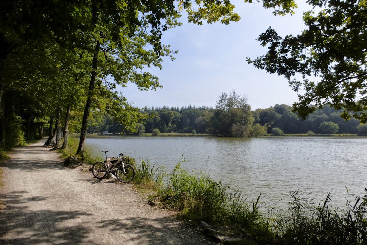 Espace VTT FFCT de Sillé-le-Guillaume - Le Saut du Cerf et la Chapelle de Lamarre