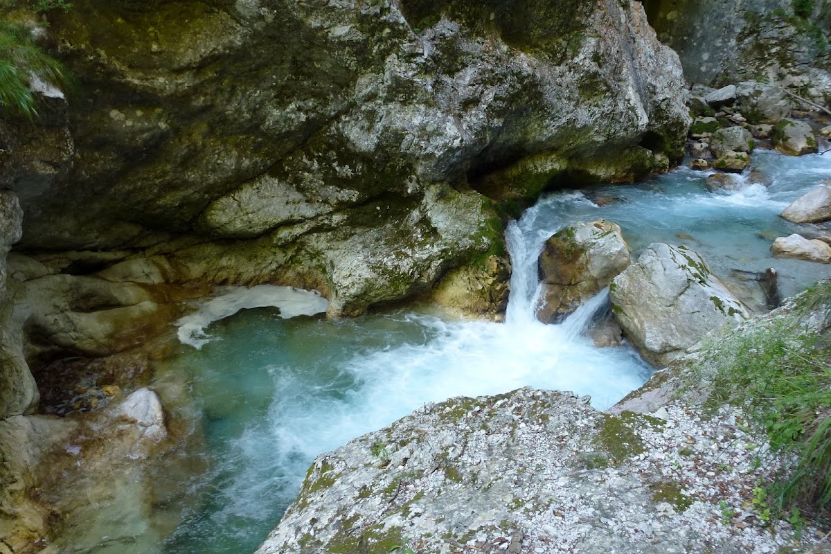 P1020649.JPG