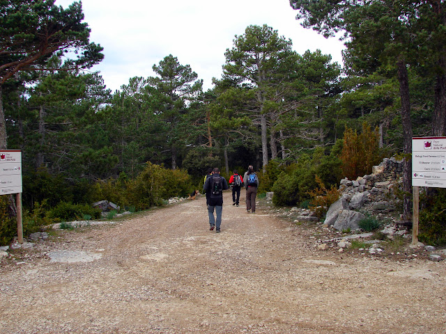 Senderismo - Coll de la Creu - Punta Boixet - Alt de la Coscollosa - Barranc de la Coscollosa