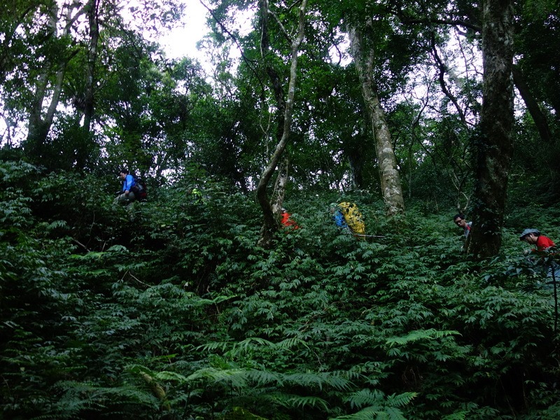 2014_0101-0105 萬山神石、萬山岩雕順訪萬頭蘭山_0469