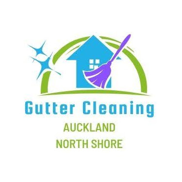 Gutter Cleaning Auckland North Shore