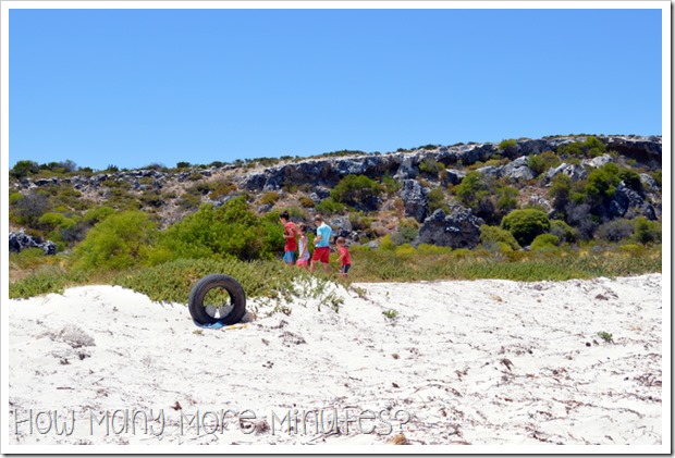 Sea Urchins at Knobby Head | How Many More Minutes?