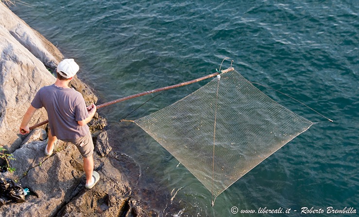 36_Pesca-agone__012 36_Pesca-agone__012