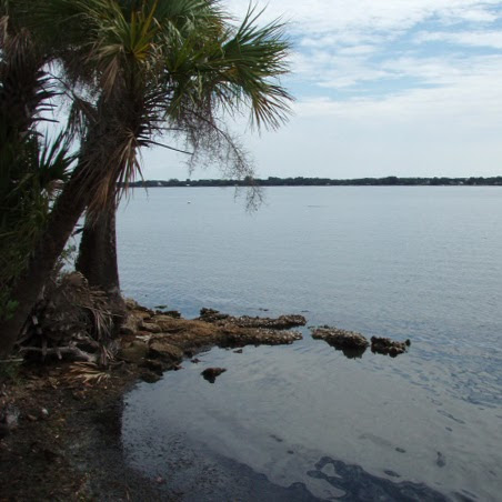 Riverwalk: A Family Park & Nature Center