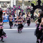 asakusa samba parade in Asakusa, Japan 