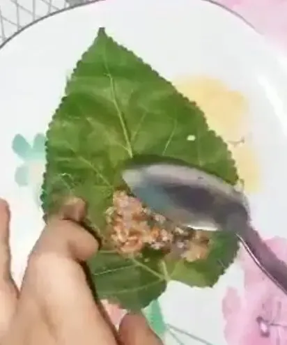 طريقة طبخ محشي ورق التوت اللذيذ طريقة طبخ محشي ورق التوت اللذيذ
