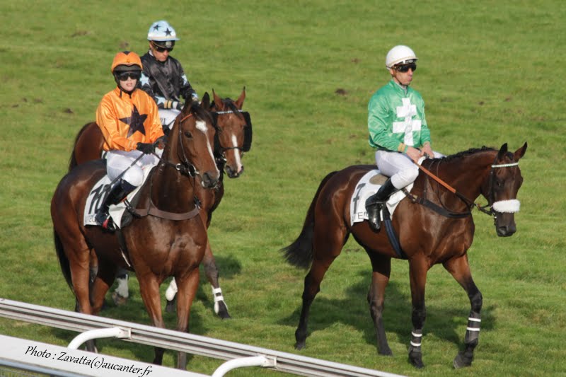 Photos Auteuil 11-10-2015 IMG_5462