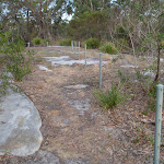 Along the fence at the picnic area (179634)