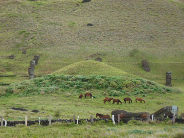 ISLA DE PASCUA. AMANECER EN AHU TONGARIKI. INTERIOR DE LA ISLA. COSTA OESTE - CHILE, de Norte a Sur con desvío a Isla de Pascua (37)