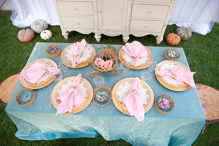 Cinderella Themed Royal Garden Party - Las Vegas www.trishphoto.com  175