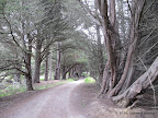 Along North Peak Access Rd, close to Montara Beach entrance to McNee Ranch.