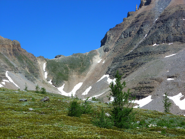 LAS ROCOSAS DE CANADA. YELLOWSTONE Y GRAND TETON. - Blogs de Canada - Lake Moraine. Larch Valley y Sentinel Pass. Eiffel Lake. 4 de julio (22)