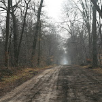 Parc de Sylvie : allée