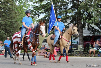 Patriotic Horse