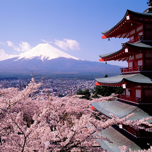 Image pertaining to LITTLE SAMURAI