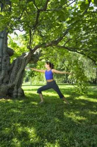 Training Of India Hatha Yoga Teachers