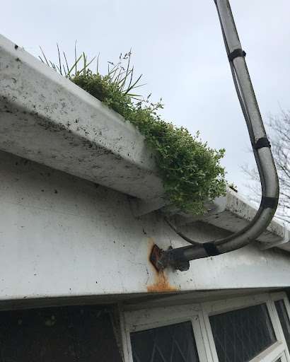 Gutter cleaning Christchurch 