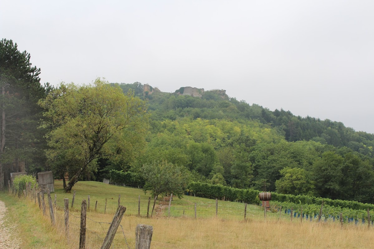 Vareille, Tezin et le château de Saint Germain IMG_4472