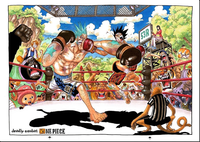 One Piece Color Walk 5_313854-0052