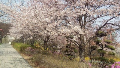 photo of 경인교대