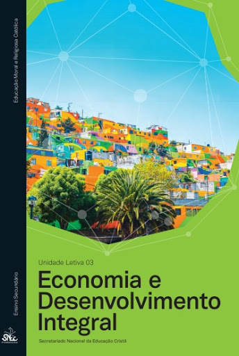 Coordenador da equipa de autores de 'Economia e desenvolvimento integral'