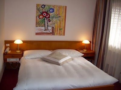 Photos of H&ocirc;tel des Trois Rois