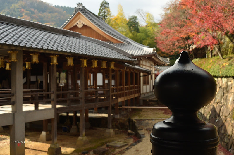 京都光明寺