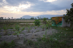 view of Cambodian countryside outside the town of Kampot