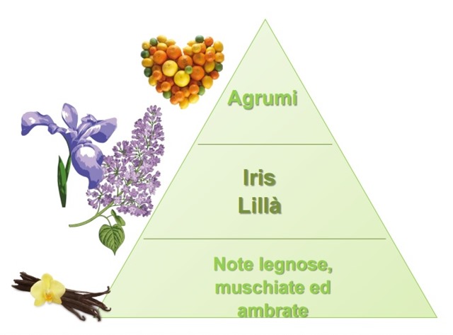 piramide olfattiva