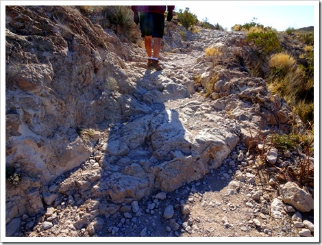 BOQUILLAS CANYON TRAIL…BIG BEND