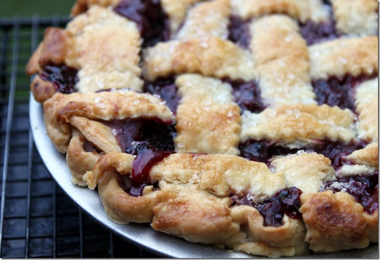 Blackberry Pie