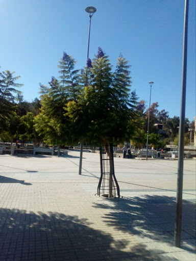 Museo de Ofrendas, Plaza Videla, Andacollo, Región de Coquimbo, Chile, Museo | Coquimbo