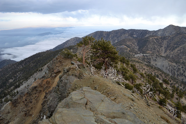 cliffs decorate the east side of the ridge