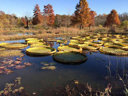 Kenilworth Aquatic Gardens