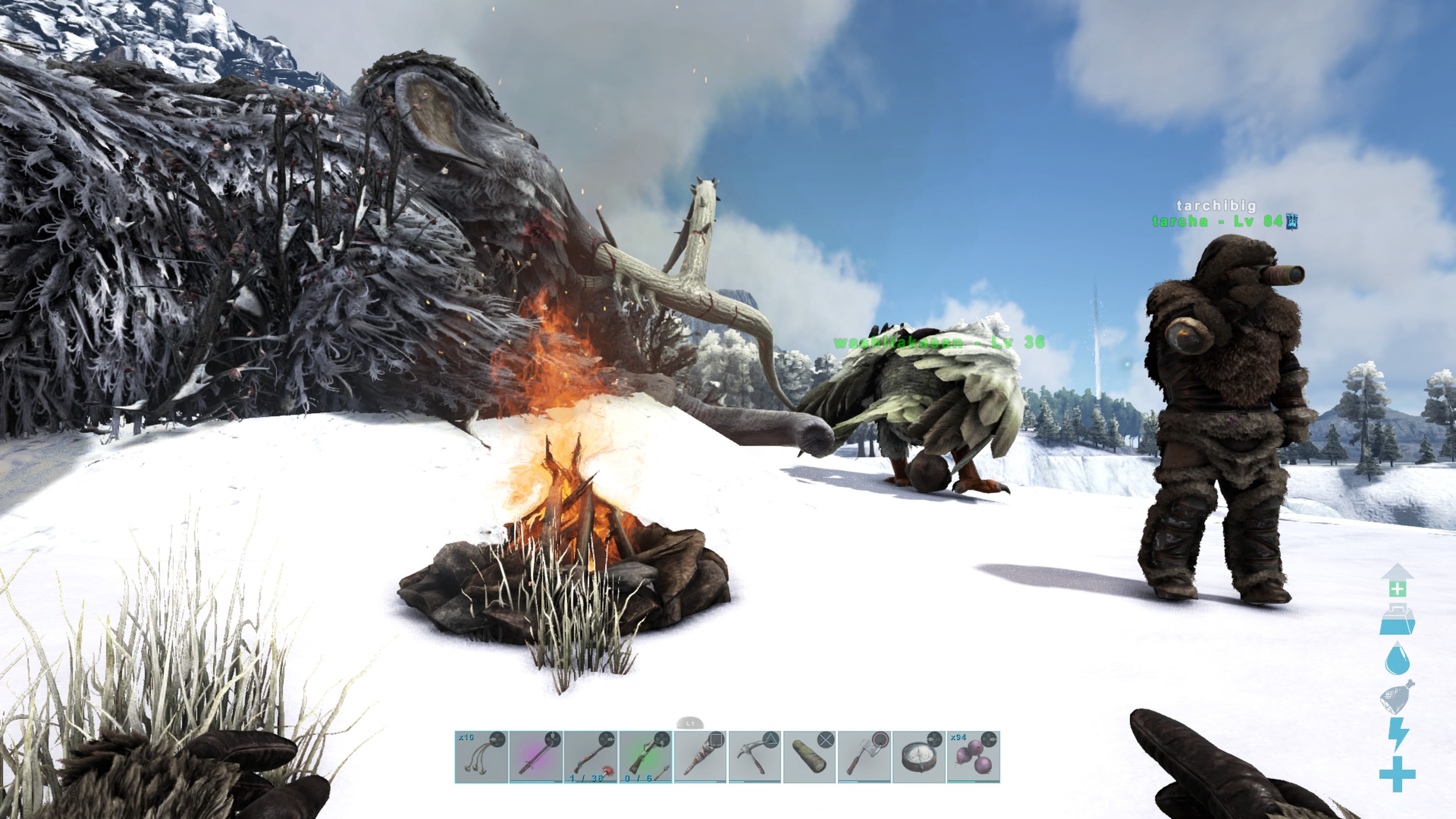 Survival Evolved いざ 雪原へ Ark Survival Evolved