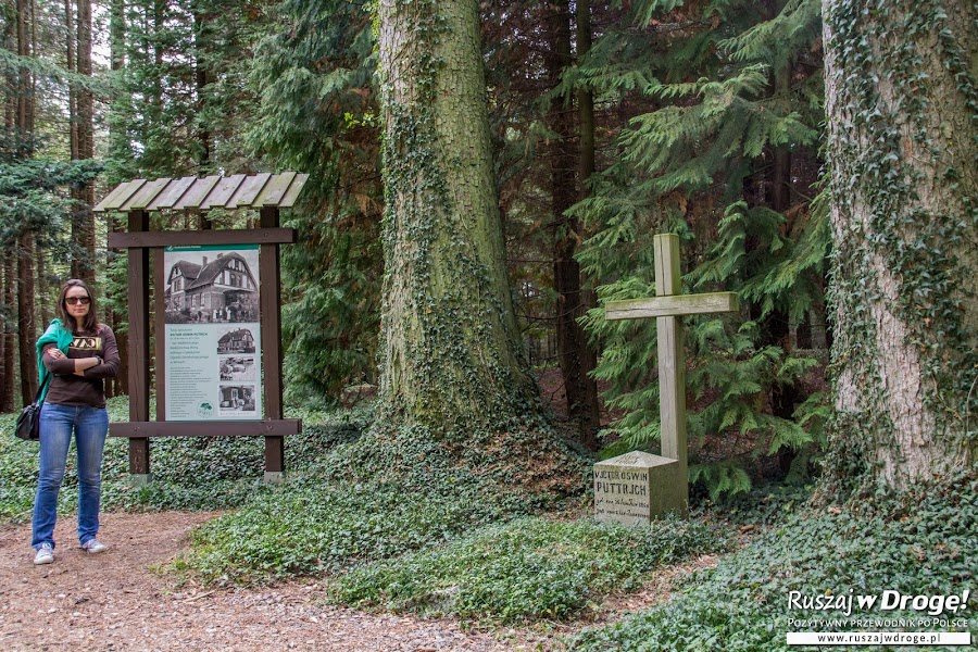 Arboretum w Wirtach