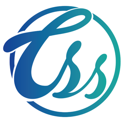 CSS logo