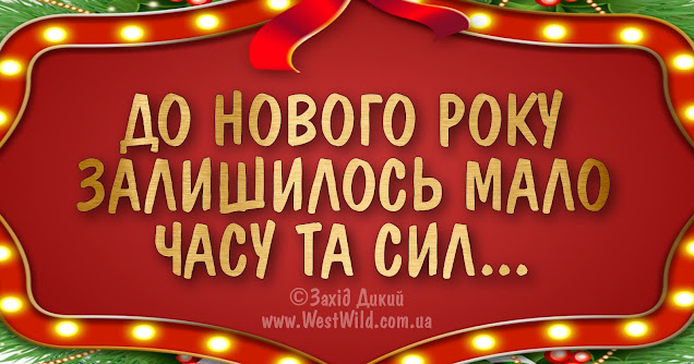 Анекдоти дня і до Нового року залишилось