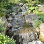 beautiful creek at Asakusa Kannon Temple in Asakusa, Japan 