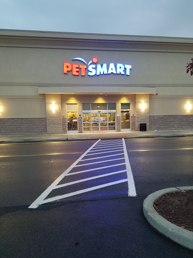 Pet Store «PetSmart», reviews and photos, 267 Berlin Turnpike, Berlin, CT 06037, USA